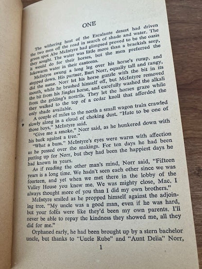Lawman's Pay by Frank C. Robertson