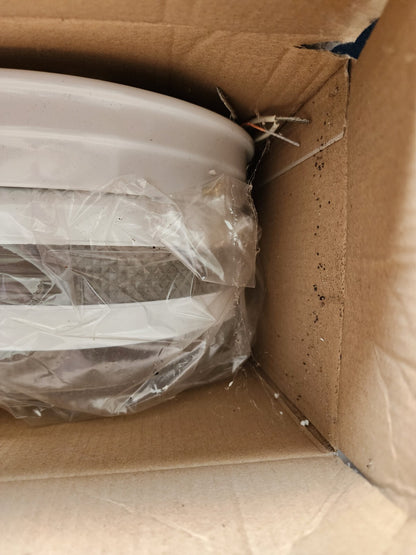 Westinghouse Interior Flush Mount Light Fixture White Finish w White/Clear Glass