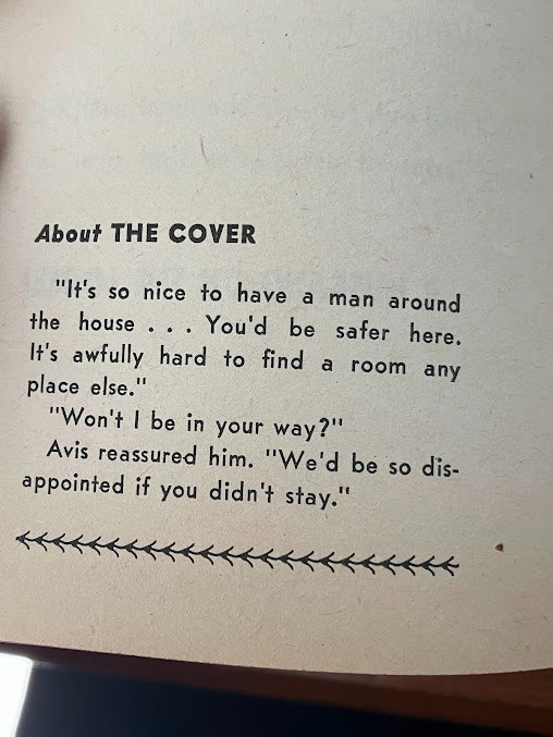 Vtg Paperback - THE HUSBAND WHO RAN AWAY by Hildegarde Dolson