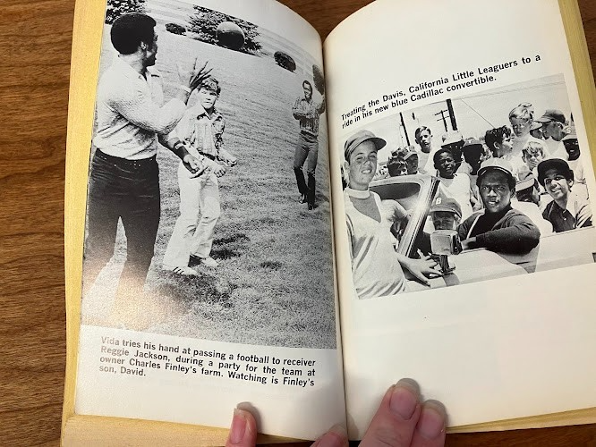 Vintage Paperback - Richard Deming: VIDA - Baseball Pitcher