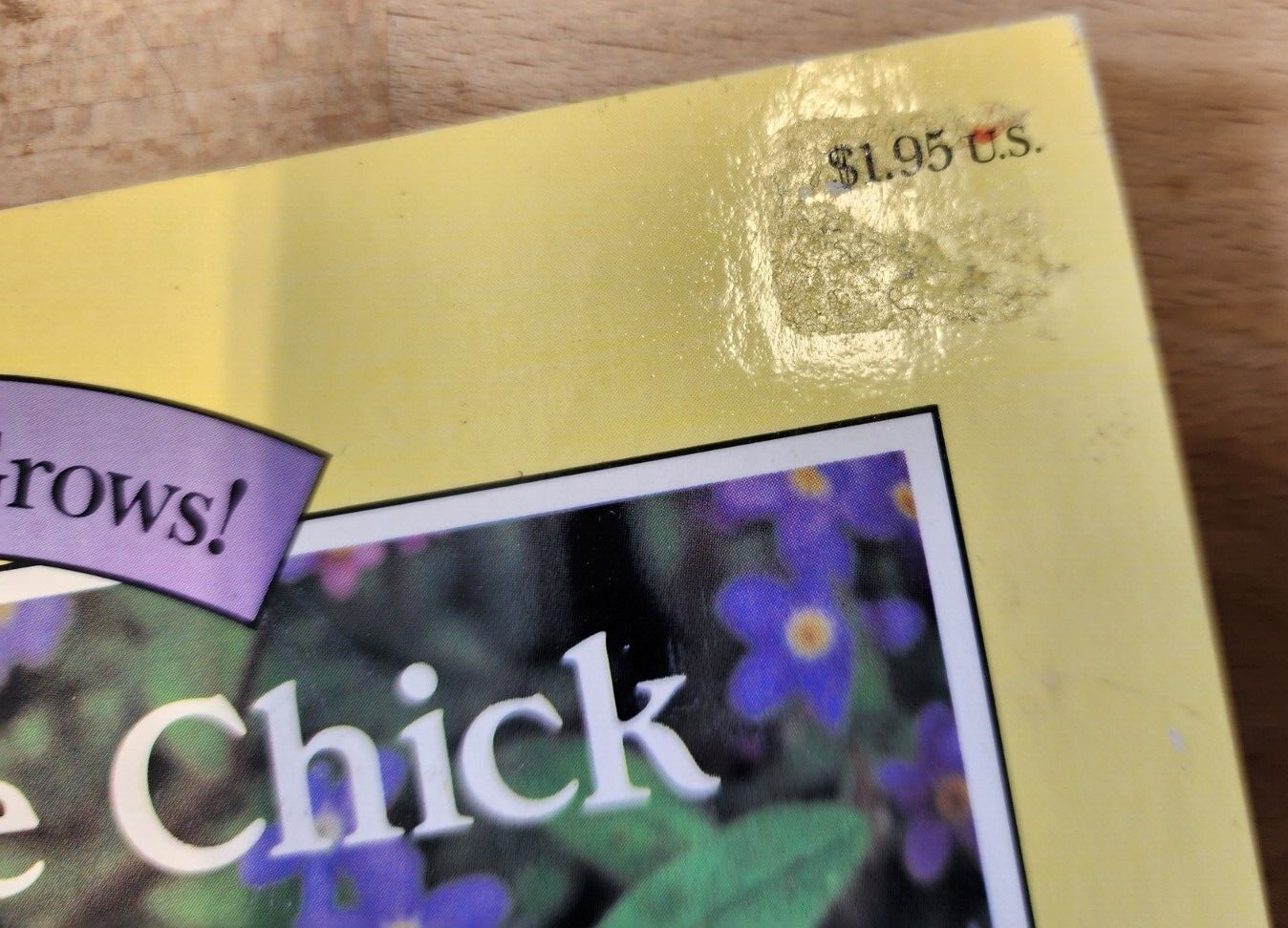 Chester the Chick (How Your Pet Grows) Paperba by Burton, Jane