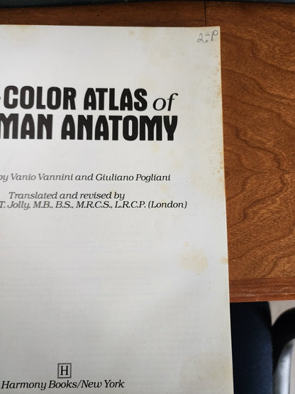 The Color Atlas of Human Anatomy - Hardcover, by VANNINI Vanio, et al - Good
