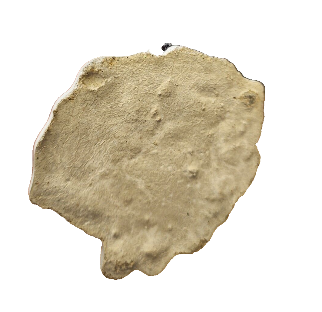 Girl with cat dustpan basket bucket flowerpot ashtray