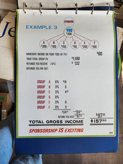 OOAK Vintage Amway Poster Examples In a Binder Folder