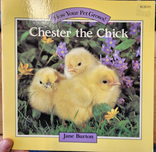 Chester the Chick (How Your Pet Grows) Paperba by Burton, Jane