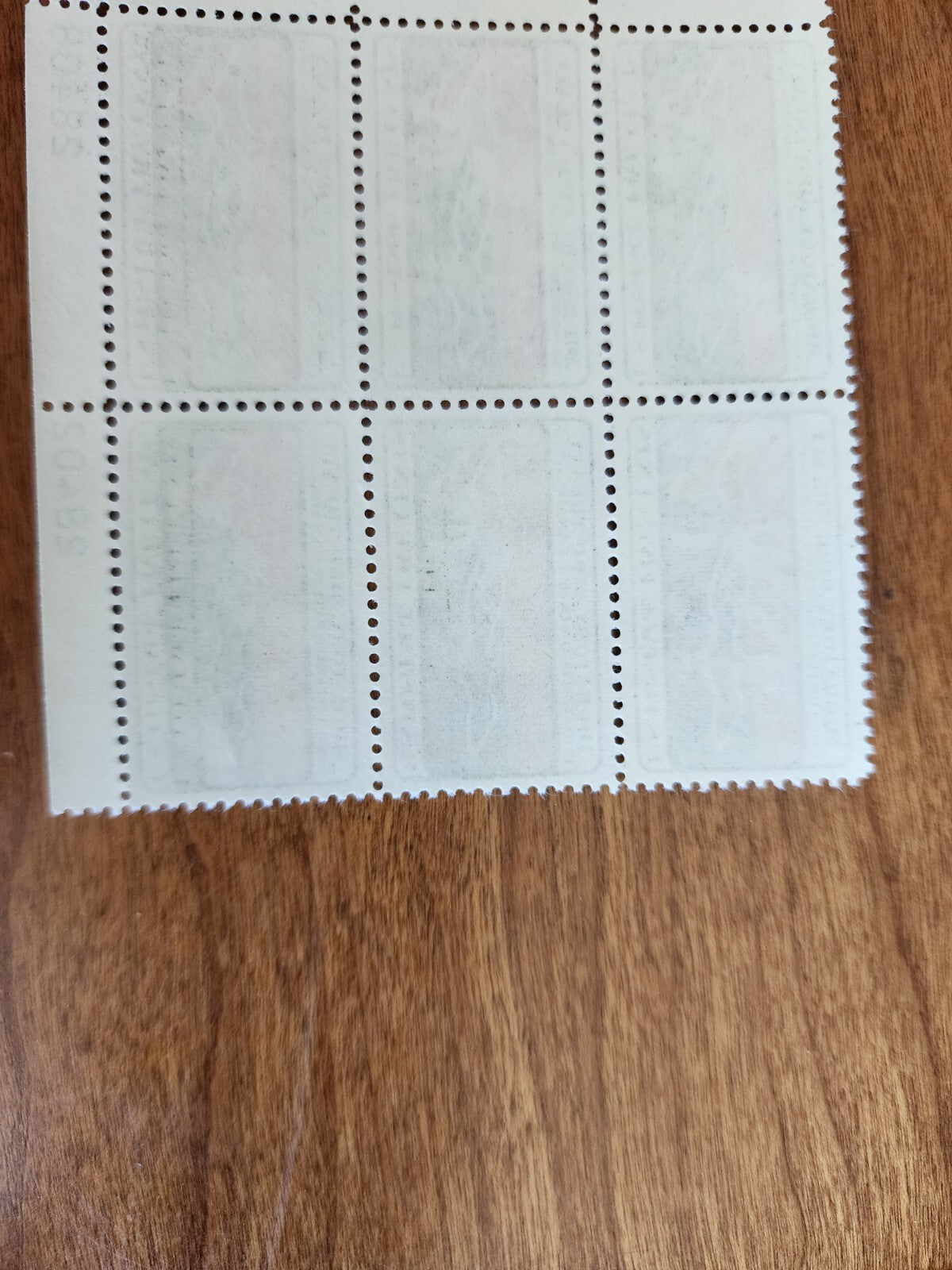 Migratory Bird Treaty 5c Stamp Block of 6, 28402 & 24808