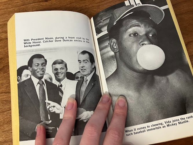 Vintage Paperback - Richard Deming: VIDA - Baseball Pitcher