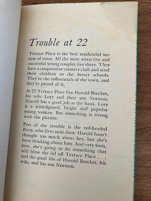 Vtg Paperback - 22 TERRACE PLACE by Charles Mergendahl