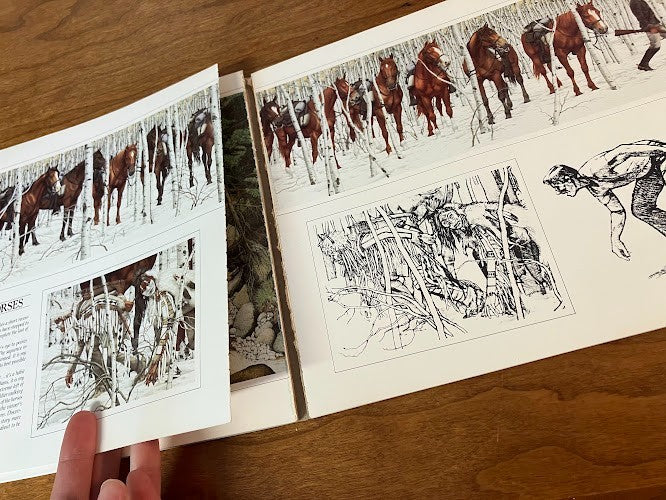 VISIONS: THE ART OF BEV DOOLITTLE - signed