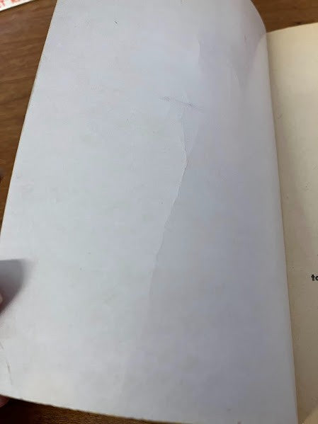 Bantam Books - A FACE IN THE CROWD by Budd Schulberg