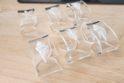 Vtg 6 Acrylic Lucite Clear Fossil Style Shell Napkin Rings Etched