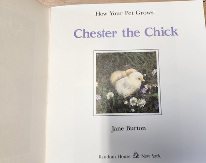 Chester the Chick (How Your Pet Grows) Paperba by Burton, Jane