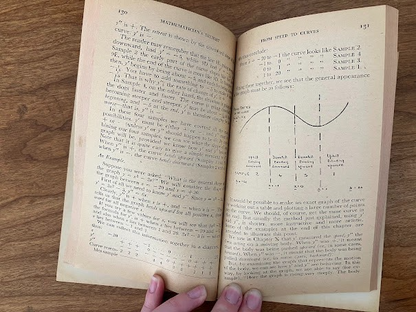 Pelican Books - Mathematician's Delight/The Birth and Death of the Sun-lot of 2