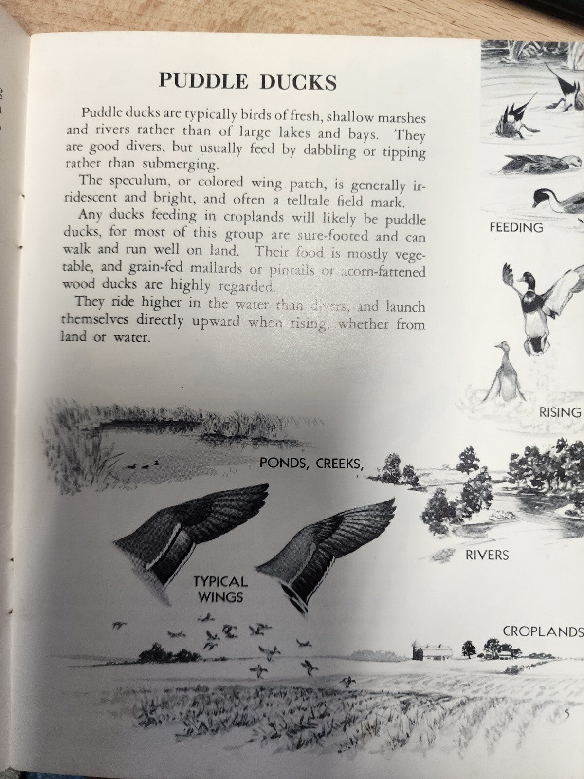 Vintage July 1963 Ducks at a Distance Guide - Paperback