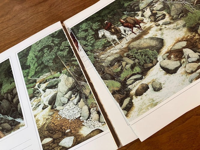 VISIONS: THE ART OF BEV DOOLITTLE - signed