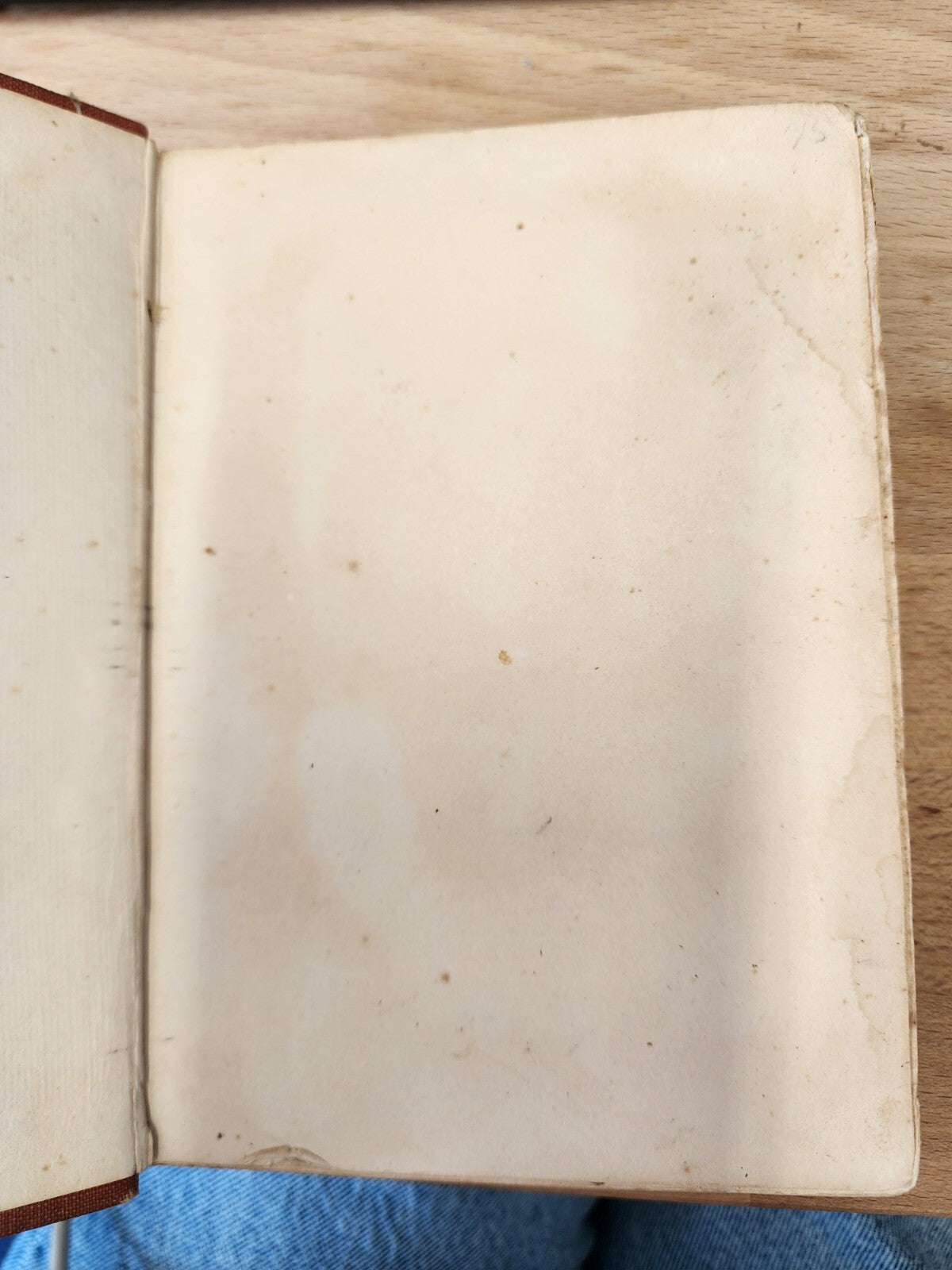 VTG THE RED MUSTANG WO STODDARD HARDCOVER 1890