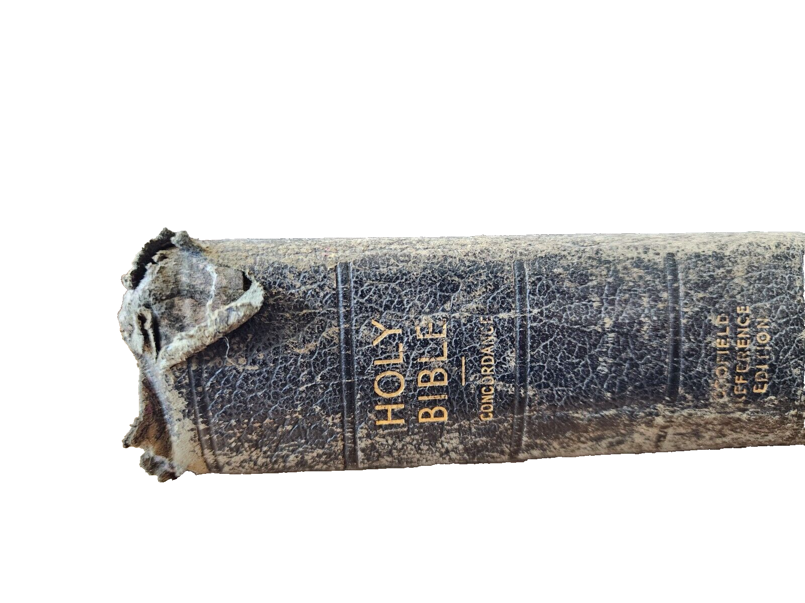 The Rev C I Scofield Reference Bible Old and New Testaments 1945 Oxford