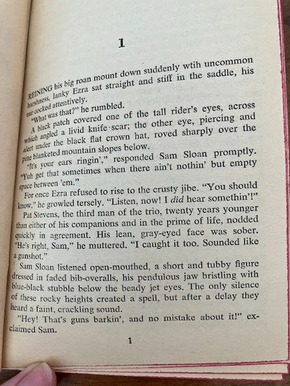 Pocket Books - Powder Valley Plunder by Peter Field
