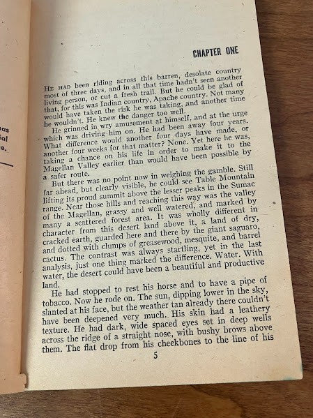 Popular Library: THE BIG GUN by PHILIP KETCHUM