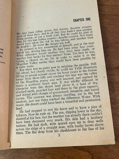 Popular Library: THE BIG GUN by PHILIP KETCHUM
