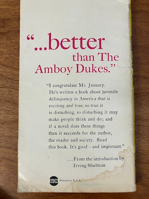 Vintage Paperback - Steve January: Rusty Desmond