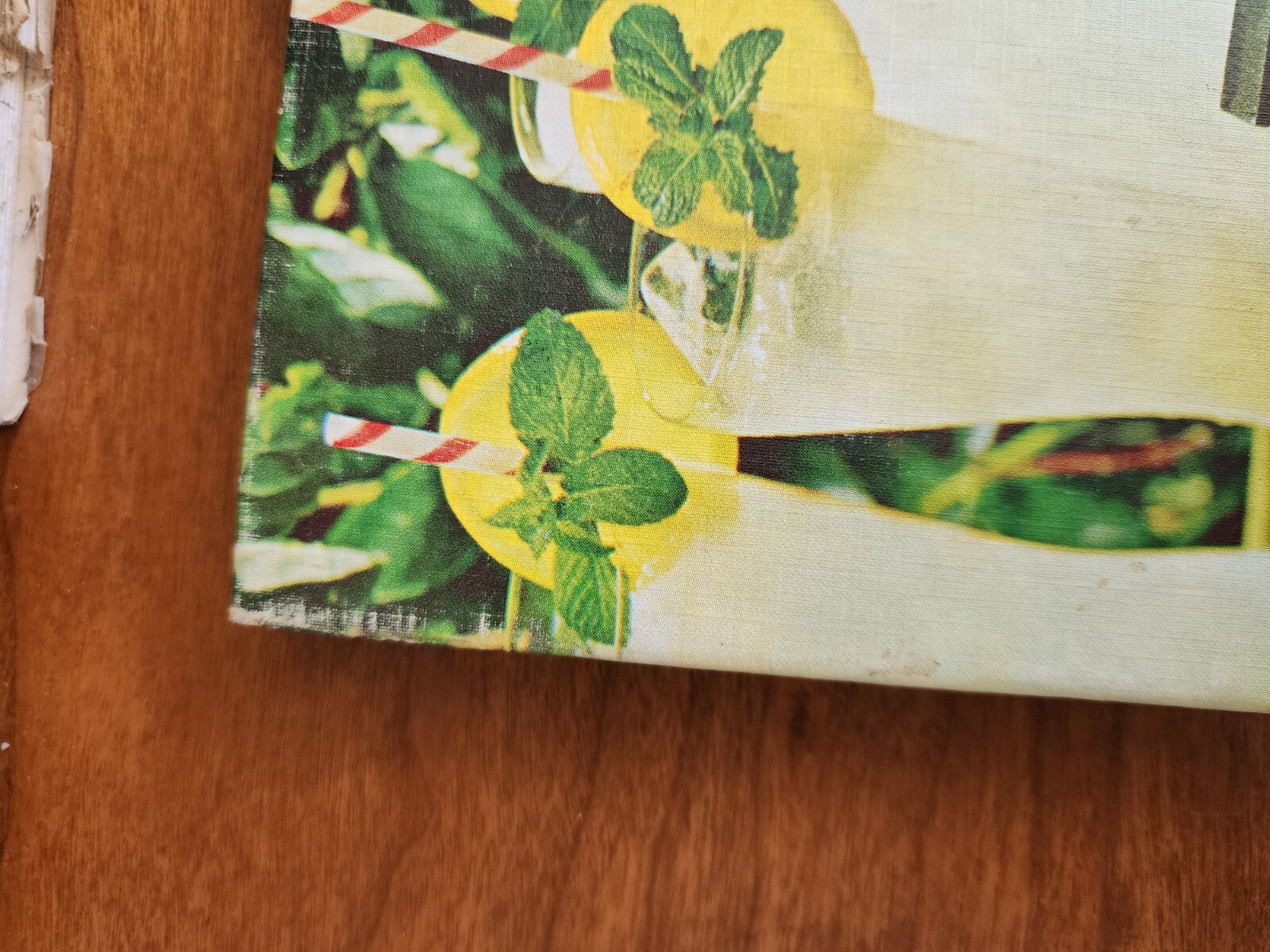 Vintage HC Book Better Homes 7 Gardens Barbecue Book