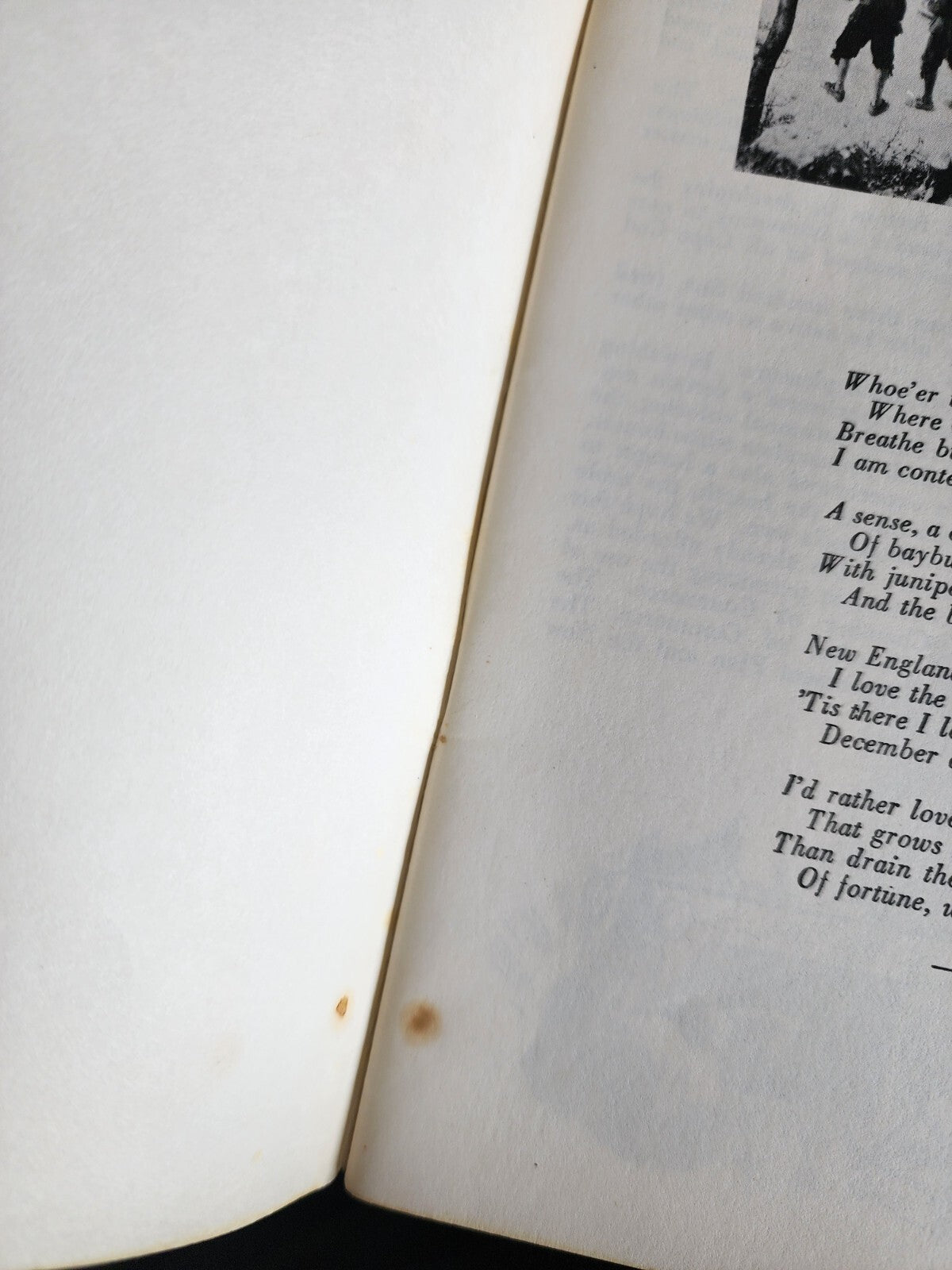 New England Cook Book: 300 Fine Old Recipes, by Kay Morrow - 1968