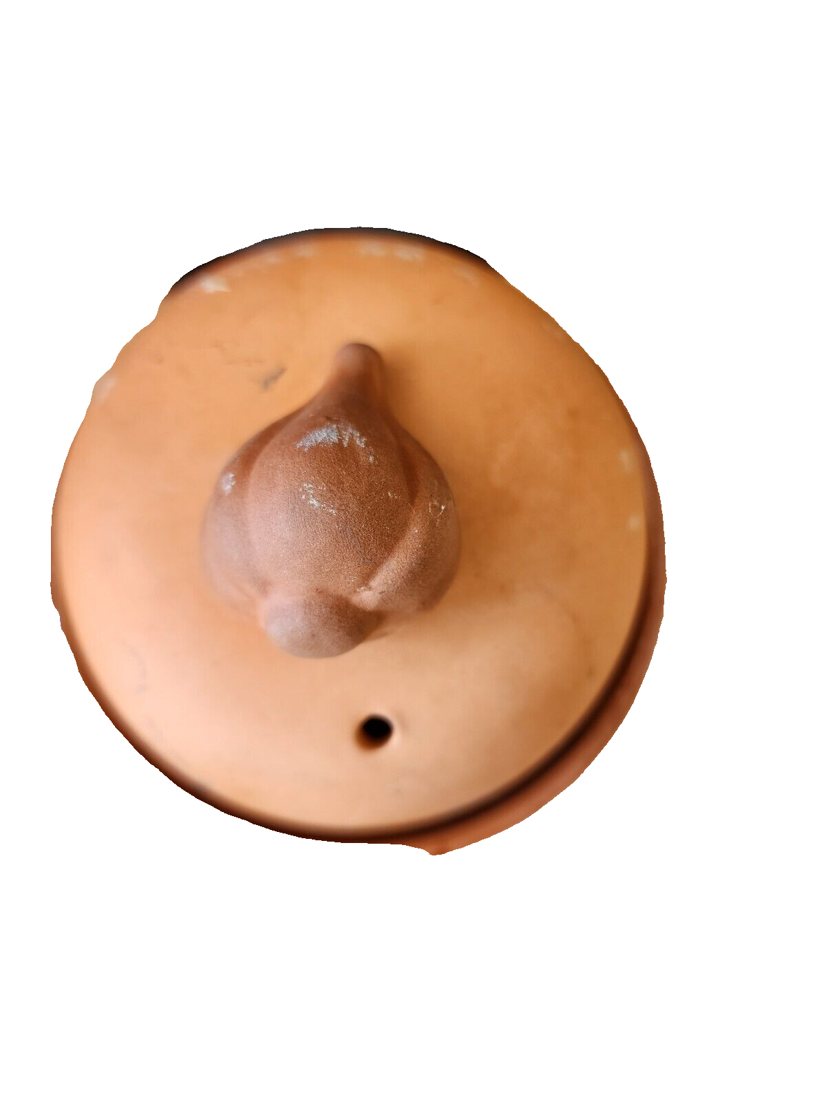 Terra Cotta Domed Garlic Roaster Baker Cooker Keeper Storage