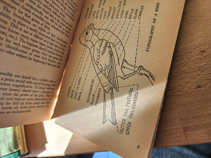 BIRDS The Pocket Guide To Birds by Allan Cruickshank 1954 vtg Paperback