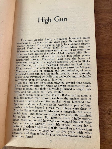 Gold Medal: High Gun by Leslie Ernenwein