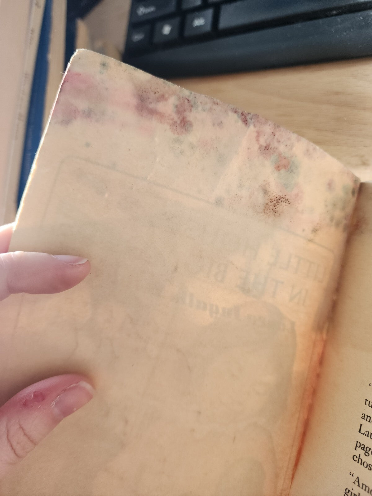 Little House In The Big Woods Laura Ingalls Wilder Paperback 1971