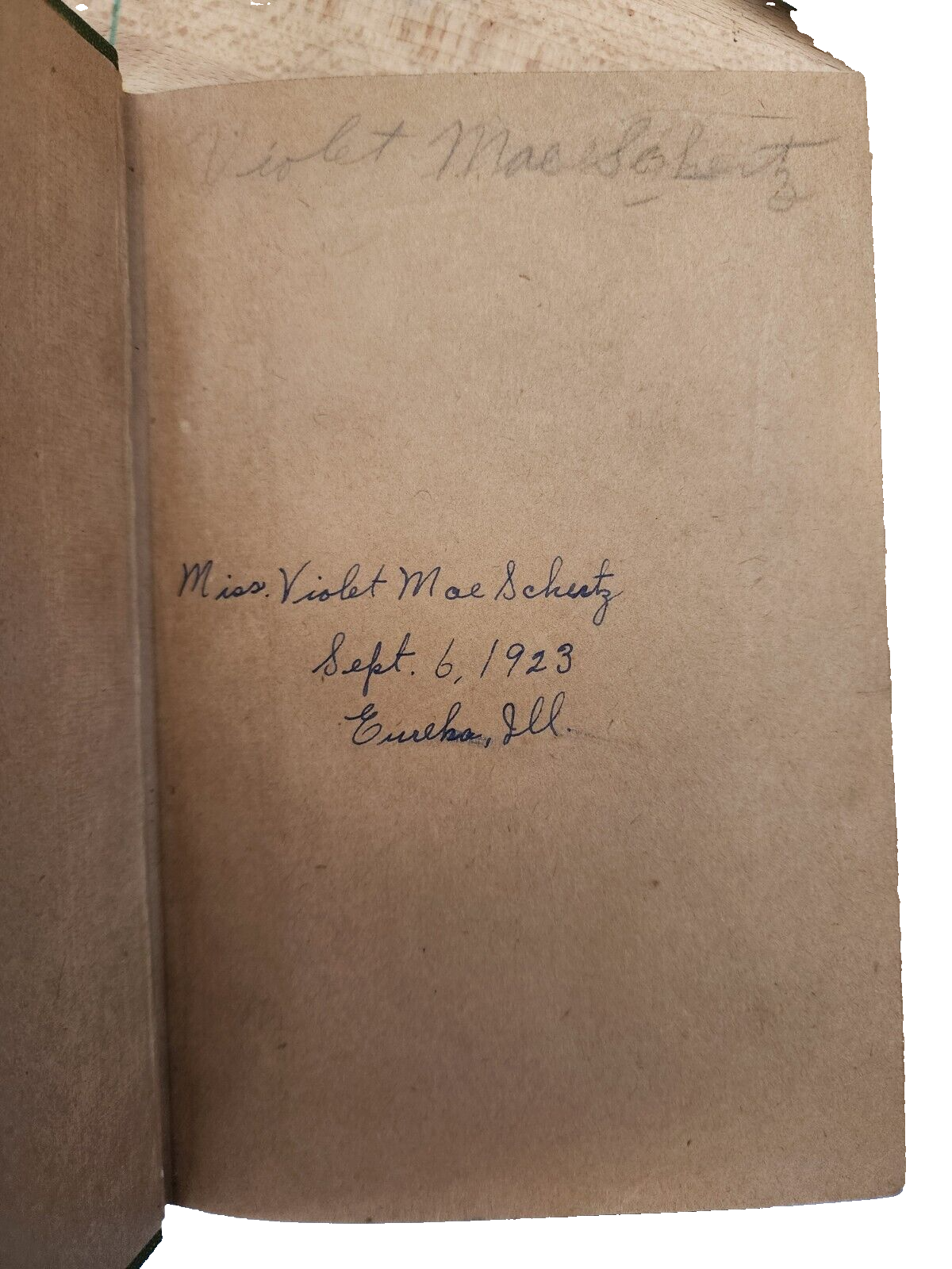 Preparing For Citizenship, by William Backus Guitteau, 1922