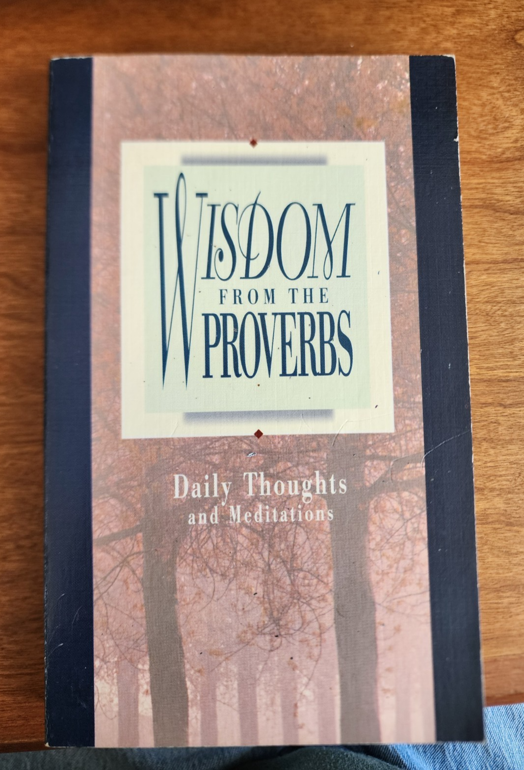 Wisdom from the Proverbs, Daily Thoughts and Meditations, Dan & Nancy Dick