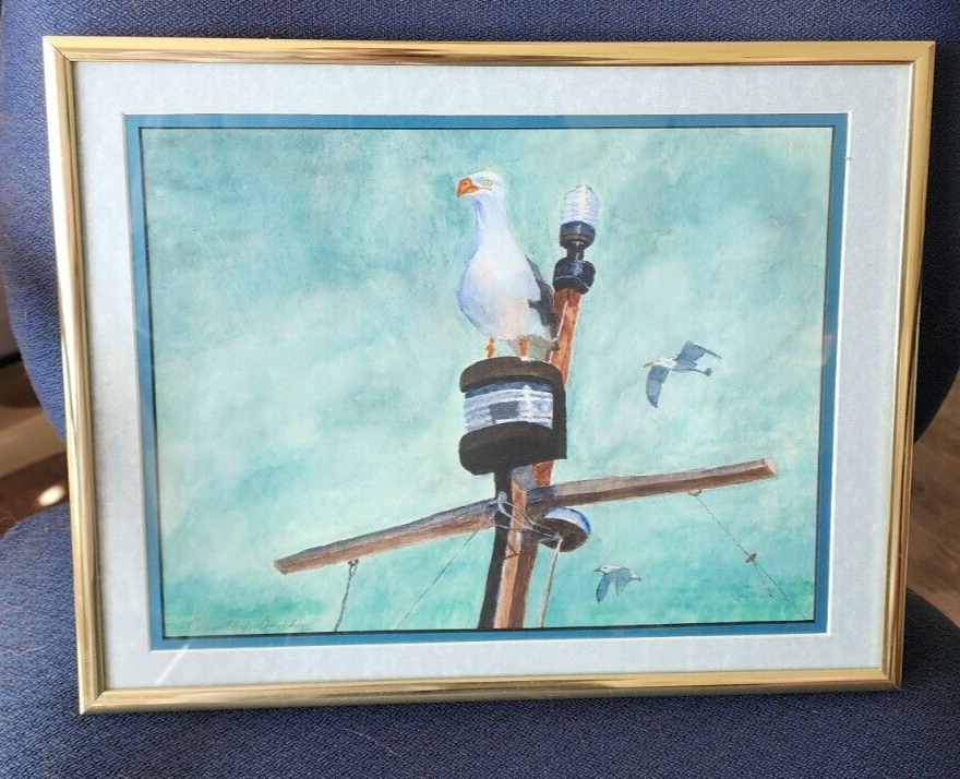 Seagull Watercolor Painting By Dorothy Darskey