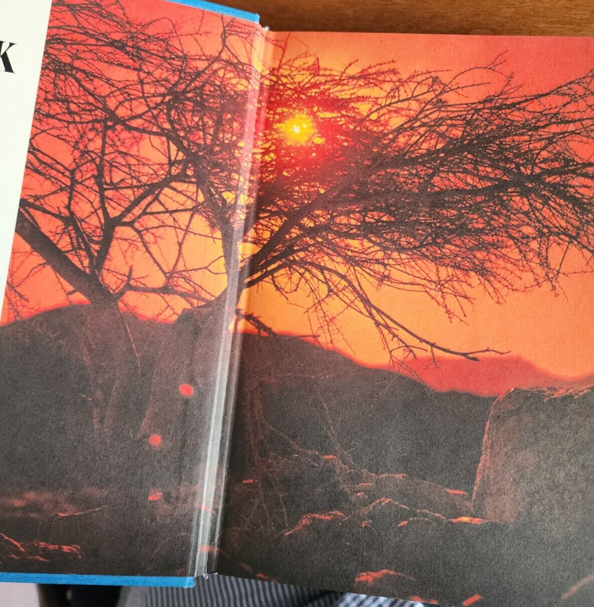 Eerdman's Handbook to the Bible 1976