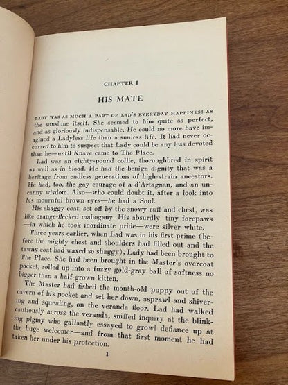 Vtg Paperback - Lad: A Dog Albert Payson Terhune