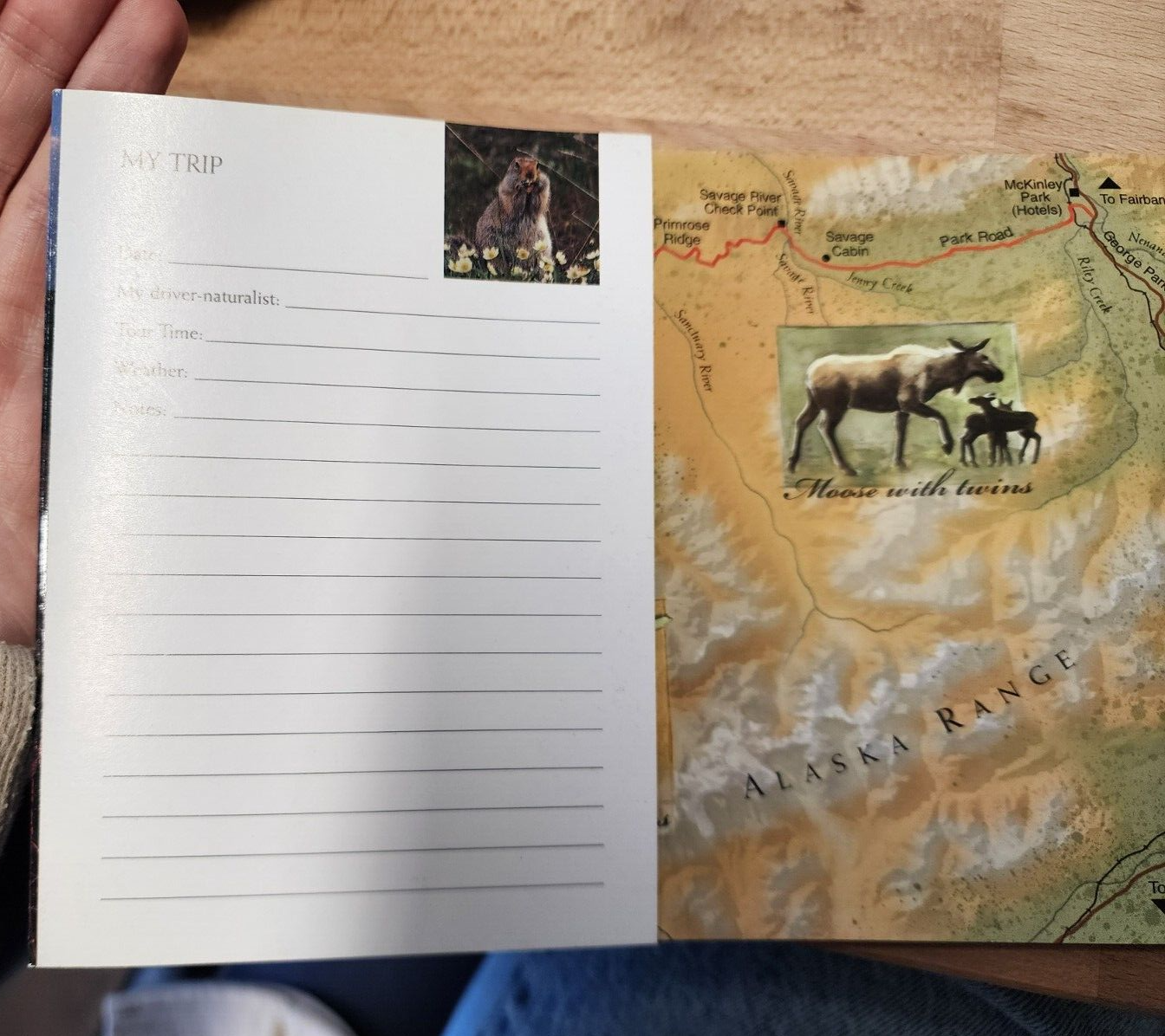 Denali: A Living Tapestry (A Wildnerness Tour Companion)