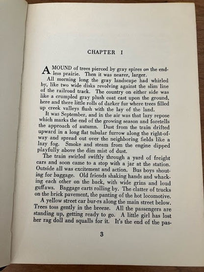 Grid Star by Ralph Cannon