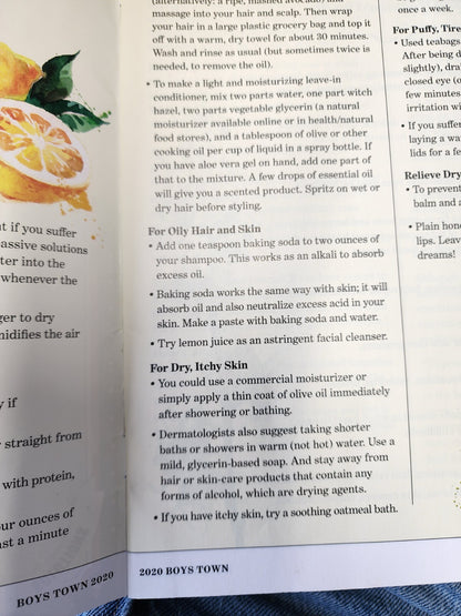 Boys Town The Book of Home Remedies -The Old Farmer's Almanac Tips & Tricks 2020