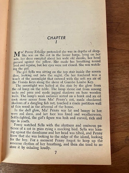 Crest Book: Swamp Babe by Robert Faherty