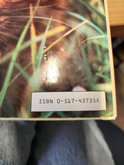 The Complete Book of Cat by Angelina Sayer - Good