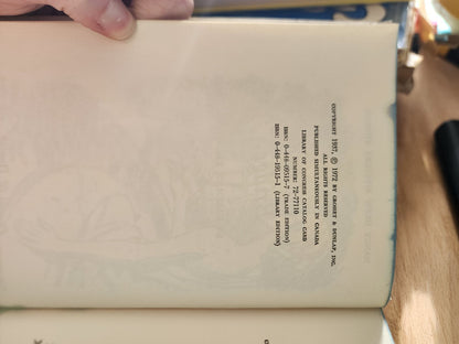 Nancy Drew #15 The Haunted Bridge Carolyn Keene Vintage Hardcover Book