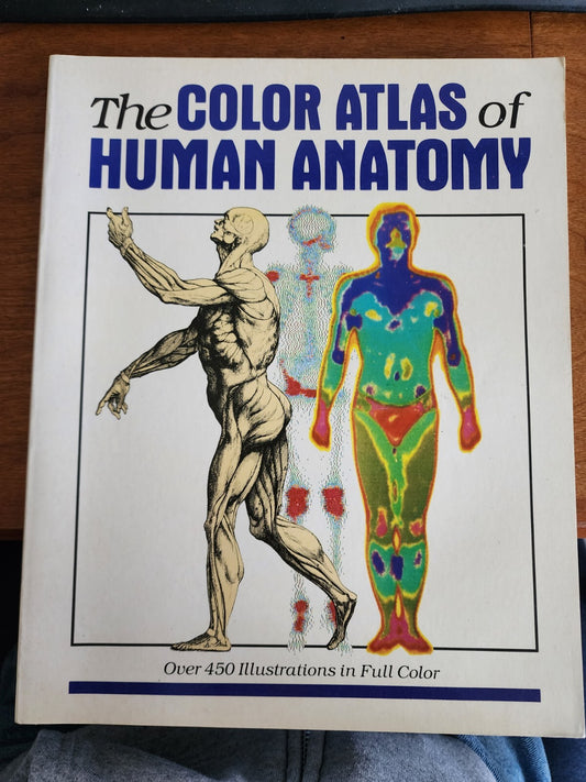 The Color Atlas of Human Anatomy - Hardcover, by VANNINI Vanio, et al - Good
