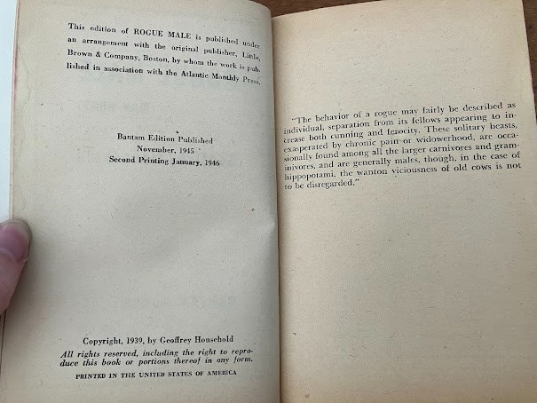 Vtg Paperback - Rogue Male Man Hunt Geoffrey Household