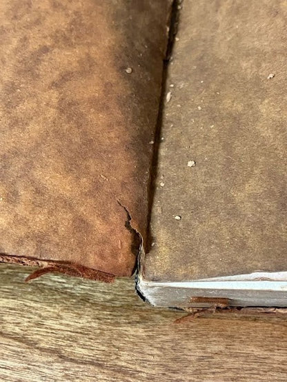 From Day To Day With Dickens - 1912