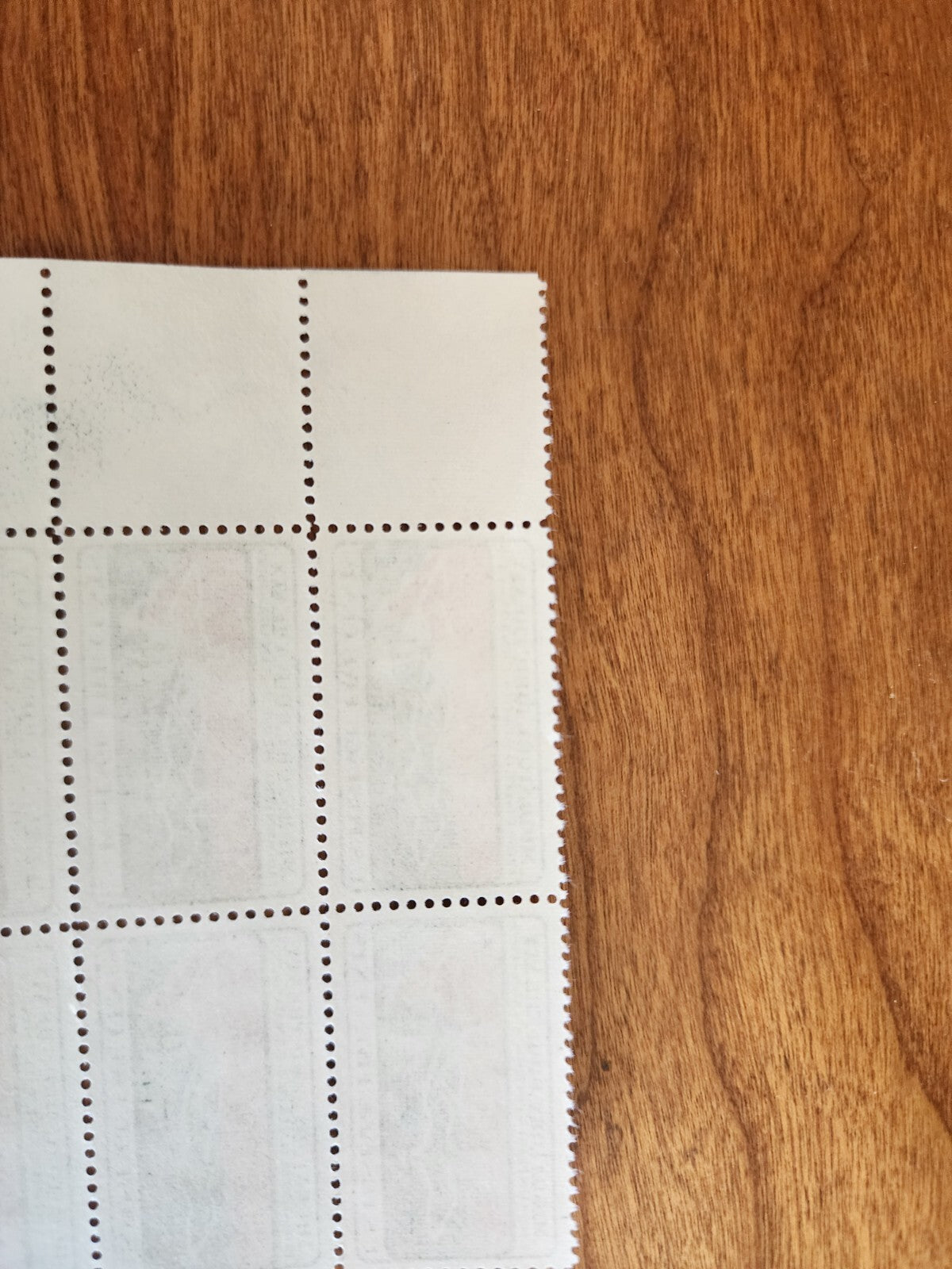 Migratory Bird Treaty 5c Stamp Block of 6, 28402 & 24808