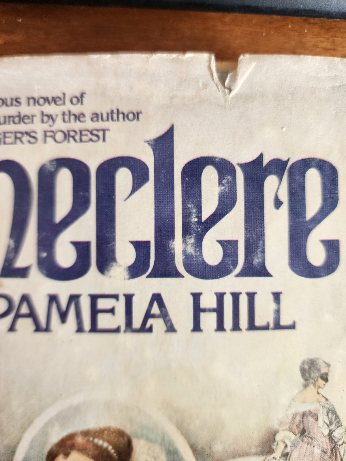 Hardcover Book Daneclere by Pamela Hill