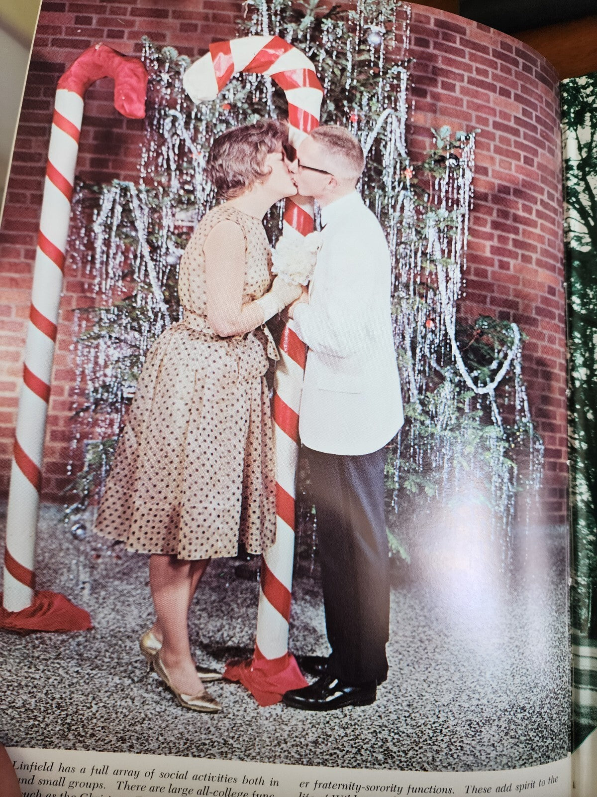 Linfield College Yearbook, McMinnville Oregon, 1963, Oak Leaves & Supplement