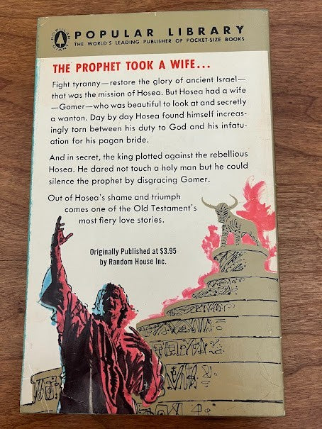 Vtg Paperback - The Valley of God by Irene Patai