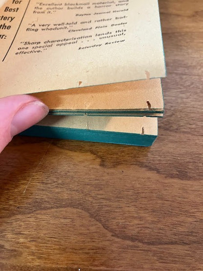 Vtg Paperback - WORSE THAN MURDER - Evelyn Berckman